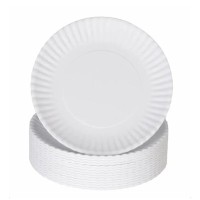 Rnbwsed  White Round Paper Plates | 100 Pcs Disposable Plates for Picnics, BBQs, Parties, and Everyday Use