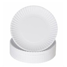 Rnbwsed  White Round Paper Plates | 100 Pcs Disposable Plates for Picnics, BBQs, Parties, and Everyday Use