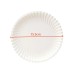 Rnbwsed  White Round Paper Plates | 100 Pcs Disposable Plates for Picnics, BBQs, Parties, and Everyday Use